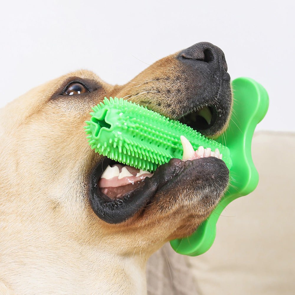 Brinquedo Dental para Cães com Dispensador de Petiscos