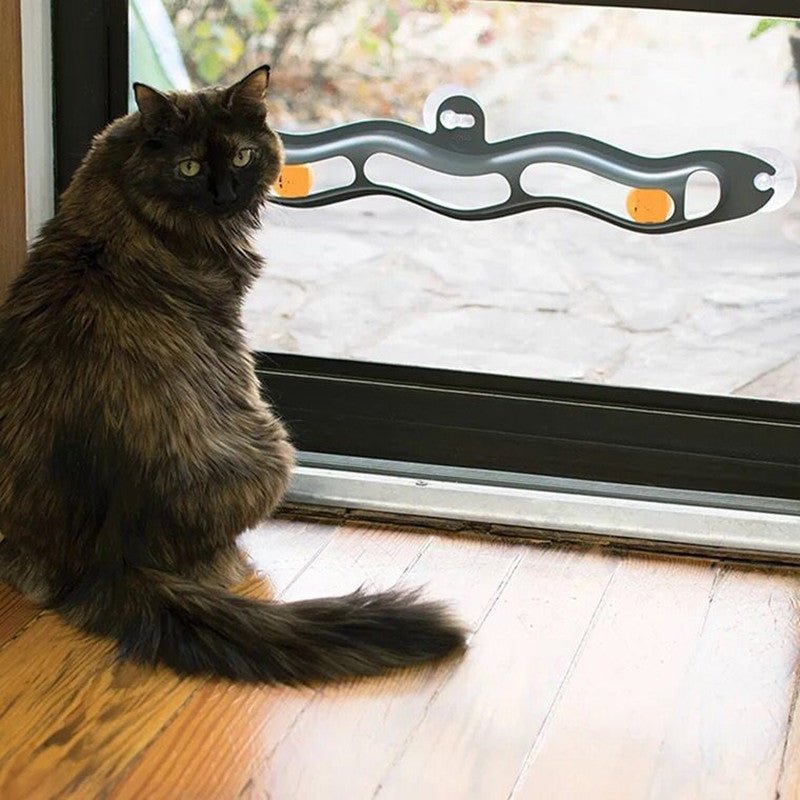 Brinquedo de Janela com Bolas para Gatos